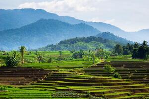 beautiful morning view from Indonesia of mountains and tropical forest photo