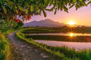 hermosa Mañana ver desde Indonesia de montañas y tropical bosque foto