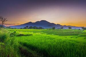 beautiful morning view from Indonesia of mountains and tropical forest photo