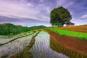 beautiful morning view from Indonesia of mountains and tropical forest photo