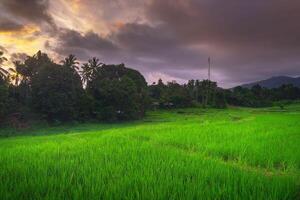 beautiful morning view from Indonesia of mountains and tropical forest photo