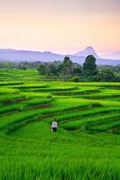 beautiful morning view from Indonesia of mountains and tropical forest photo