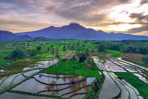 hermosa Mañana ver desde Indonesia de montañas y tropical bosque foto