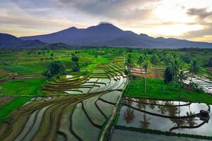 hermosa Mañana ver desde Indonesia de montañas y tropical bosque foto