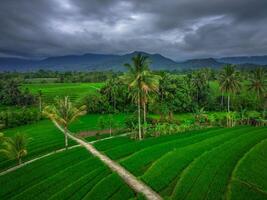 hermosa Mañana ver desde Indonesia de montañas y tropical bosque foto