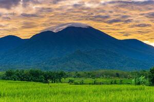 beautiful morning view from Indonesia of mountains and tropical forest photo