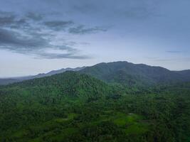 hermosa Mañana ver desde Indonesia de montañas y tropical bosque foto