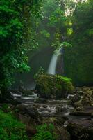 hermosa Mañana ver desde Indonesia de montañas y tropical bosque foto