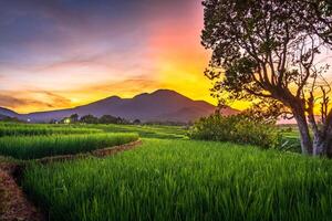 hermosa Mañana ver desde Indonesia de montañas y tropical bosque foto