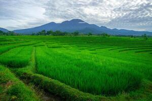 beautiful morning view from Indonesia of mountains and tropical forest photo