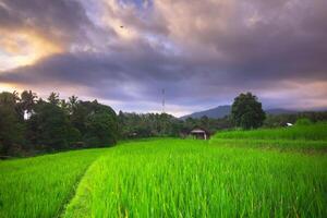 beautiful morning view from Indonesia of mountains and tropical forest photo