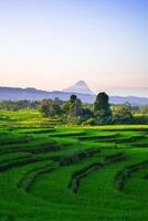 hermosa Mañana ver desde Indonesia de montañas y tropical bosque foto