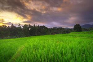 beautiful morning view from Indonesia of mountains and tropical forest photo