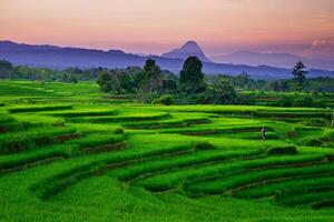 hermosa Mañana ver desde Indonesia de montañas y tropical bosque foto