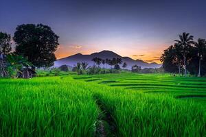 hermosa Mañana ver desde Indonesia de montañas y tropical bosque foto