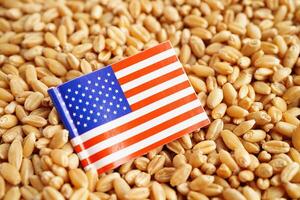 USA America flag on grain wheat, trade export and economy concept. photo