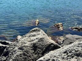Tree fragments from water. Sea landscape with rocks. Blue sea water. Rocks under water photo