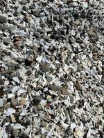 pile of pebbles photo