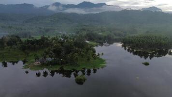 Aerial view of Perintis Lake surrounded by trees photo