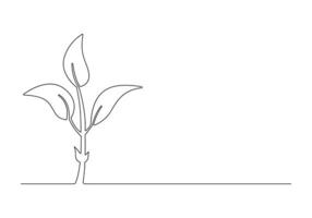 Continuous one line drawing of plant growth outline pro illustration vector