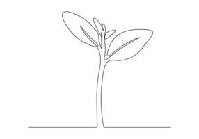 Continuous one line drawing of plant growth outline pro illustration vector