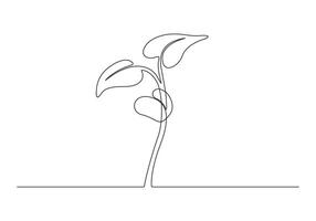 Continuous one line drawing of plants and herbs concept pro illustration vector