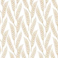 Seamless pattern sketch of ripe spikelets graphics vector