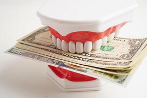 Treatment dental care cost, dental expense or fee, US dollar banknote money with teeth model. photo