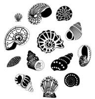 set of shells drawn in a doodle style. Round composition. Collection of black and white shells. vector