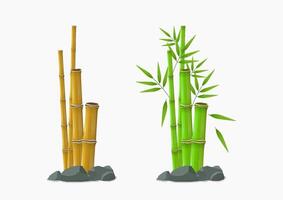 Green and Yellow Bamboo Tree vector