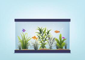 beautiful fish in aquarium with water plant. vector