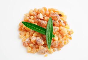 Frankincense or olibanum aromatic resin used in incense and perfumes. photo