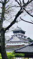 Kokura castle in Kitakyushu, Japan with cherry blossoms trees, Sakura, spring background photo