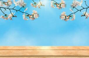 Wood table with cherry blossom branches and blue sky, spring background, Japanese Sakura for product display photo