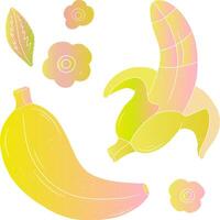 a yellow banana vector