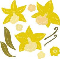 yellow flowers and leaves on a white background vector