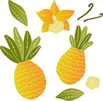 pineapple clip art vector