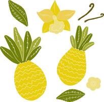 pineapple clip art vector