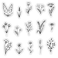 Set of flowers stickers, floral elements isolated on a white background. compositions for greeting card and scrapbooking vector