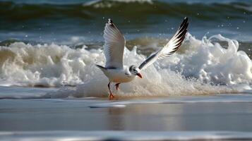 Gaviota toma vuelo en medio de espumoso olas en un soleado playa foto