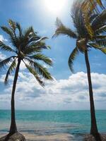 El mirador 2 public beach in Cancun photo