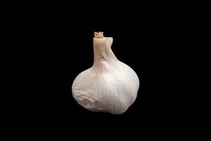 Isolated garlic with black background photo