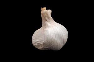 Isolated garlic with black background photo