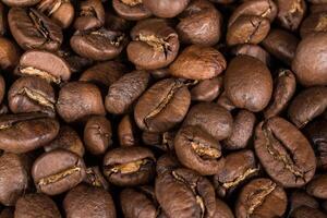 Bunch of coffee grains from Mexico photo