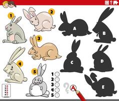 finding shadows game with cartoon rabbits animal characters vector