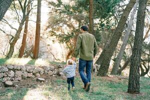 Dad and a little girl walk hand in hand through the forest to the stone fence. Back view photo