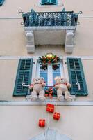 Large teddy bears are attached to a window sill on the facade of a building along with Christmas decor photo