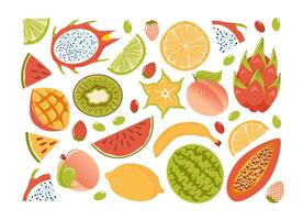 conjunto de exótico verano tropical frutas, en dibujos animados estilo. Fresco limón, Lima porciones, sandía, continuar fruta, estrella fruta, papaya, mango y kiwi, fresas sano alimento. melocotón pelusa. vector