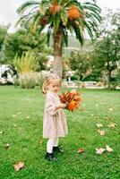 pequeño niña examina un rojo arce hoja en su mano mientras en pie con un ramo de flores en el otoño jardín foto