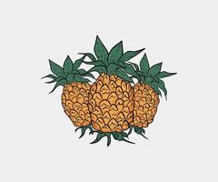 Fresh pineapple fruit. Pineapple fruit illustration cartoon. pineapple fruit fresh. design pineapple fruits a healthy and nutritious vector